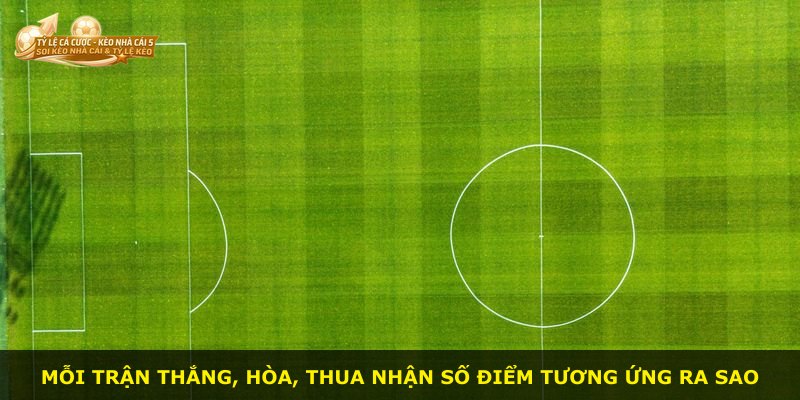 Mỗi trận thắng, hòa, thua nhận số điểm tương ứng ra sao
