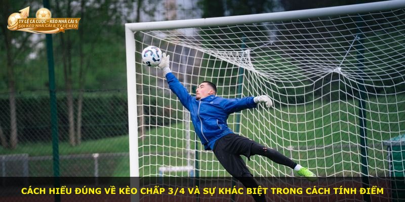 Cách hiểu đúng về kèo chấp 3/4 và sự khác biệt trong cách tính điểm
