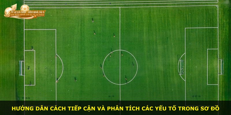 Hướng dẫn cách tiếp cận và phân tích các yếu tố trong sơ đồ
