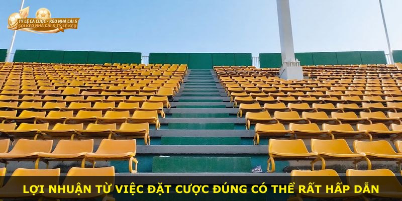 Lợi nhuận từ việc đặt cược đúng có thể rất hấp dẫn