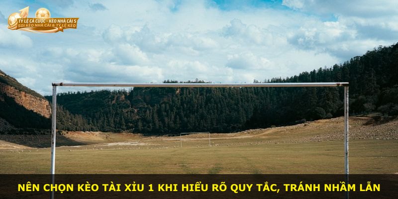 Nên chọn kèo Tài Xỉu 1 khi hiểu rõ quy tắc, tránh nhầm lẫn